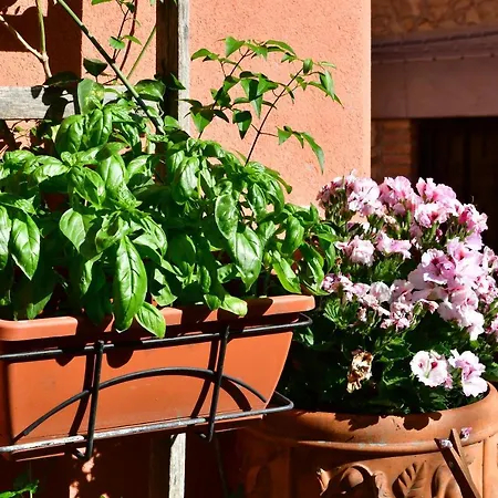Casa Cifali 2* Ταορμίνα