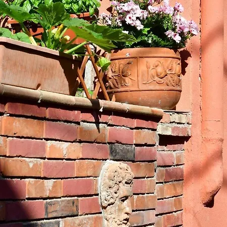 Casa Cifali 게스트하우스